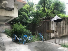 图片7
