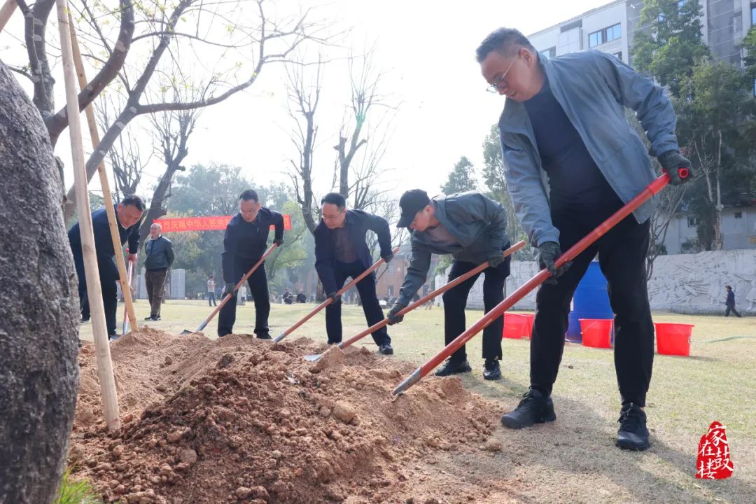 种下一片绿！鼓楼区领导参加义务植树活动！
