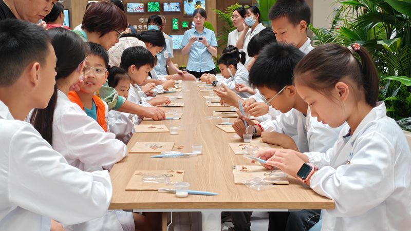 指尖雕木景 护眼伴成长|鼓楼区“小小护眼探险家”首期研学开营 指尖雕木景 护眼伴成长|鼓楼区“小小护眼探险家”首期研学开营