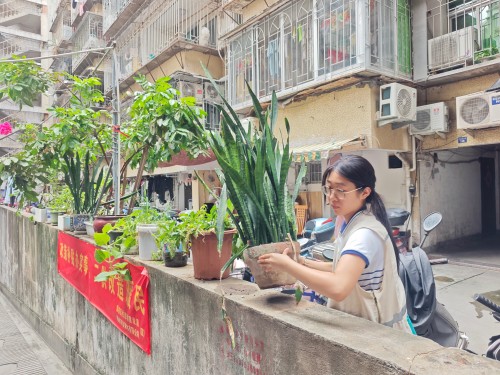 为深化实施新时代“堡垒工程”,充分发挥基层党组织战斗堡垒和党员先锋模范作用,切实筑牢辖区防汛安全防线。2026年7月10日,温泉街道包会领导带队在汤边社区开展防汛专项督导检查。街道包社区干部全员下沉一线,联动社区工作人员、网格员、党员志愿者开展辖区全域隐患巡查。 (3)